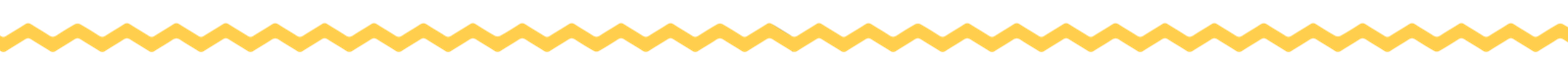 border footer-01